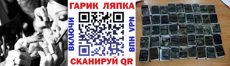 Купить закладки  Гаврилов Посад  ГАШ гарик 