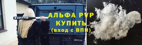 прущие крисы Верея