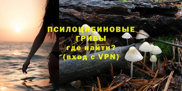 PSILOCYBIN Верхний Тагил