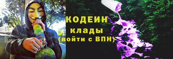 дживик Бородино