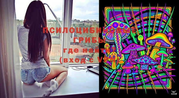 PSILOCYBIN Верхний Тагил