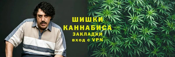 PSILOCYBIN Верхний Тагил