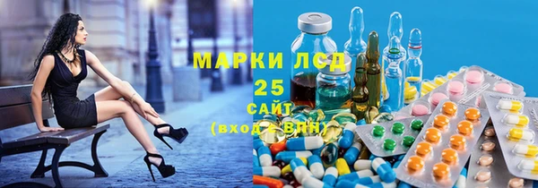 PSILOCYBIN Верхний Тагил